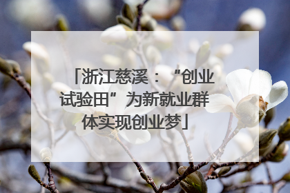 浙江慈溪：“创业试验田”为新就业群体实现创业梦