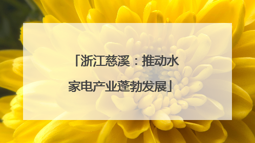 浙江慈溪：推动水家电产业蓬勃发展