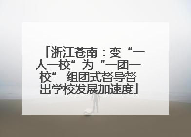浙江苍南：变“一人一校”为“一团一校” 组团式督导督出学校发展加速度