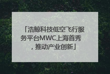 浩鲸科技低空飞行服务平台MWC上海首秀，推动产业创新