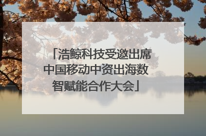 浩鲸科技受邀出席中国移动中资出海数智赋能合作大会