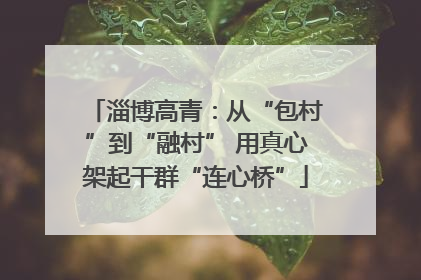 淄博高青：从“包村”到“融村” 用真心架起干群“连心桥”