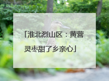淮北烈山区：黄营灵枣甜了乡亲心