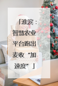 淮滨：智慧农业平台跑出麦收“加速度”