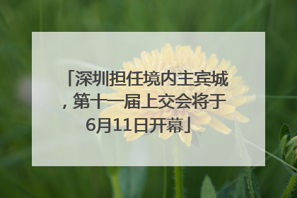 深圳担任境内主宾城，第十一届上交会将于6月11日开幕