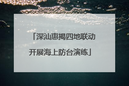 深汕惠揭四地联动开展海上防台演练