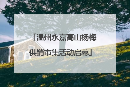温州永嘉高山杨梅供销市集活动启幕