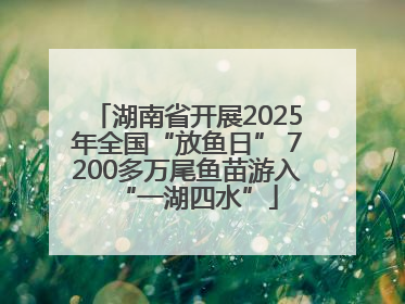 湖南省开展2025年全国“放鱼日” 7200多万尾鱼苗游入“一湖四水”