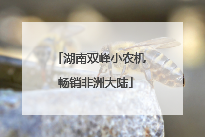 湖南双峰小农机畅销非洲大陆