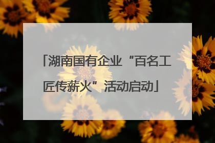 湖南国有企业“百名工匠传薪火”活动启动
