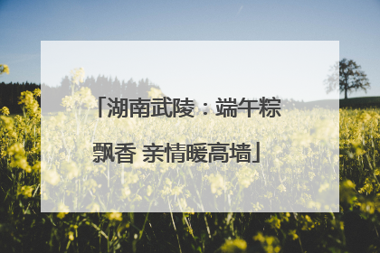 湖南武陵：端午粽飘香 亲情暖高墙