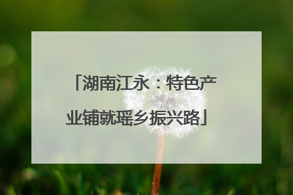 湖南江永：特色产业铺就瑶乡振兴路