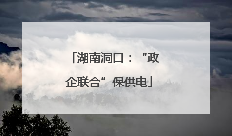湖南洞口：“政企联合”保供电
