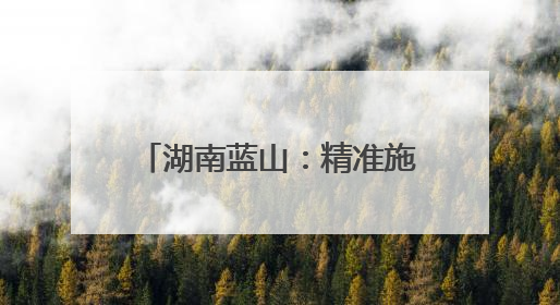湖南蓝山：精准施策促就业 校企实现“双向奔赴”