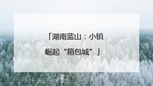 湖南蓝山：小镇崛起“箱包城”