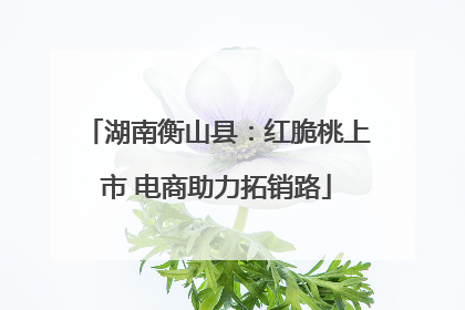 湖南衡山县：红脆桃上市 电商助力拓销路