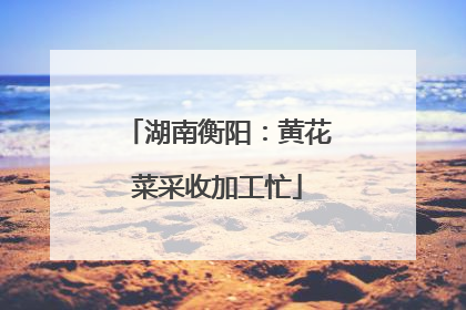 湖南衡阳：黄花菜采收加工忙