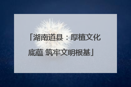 湖南道县：厚植文化底蕴 筑牢文明根基