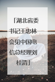 湖北省委书记王忠林会见中国电信总经理刘桂清
