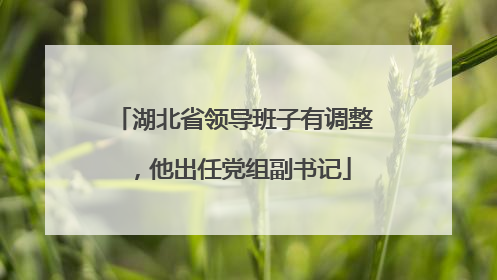 湖北省领导班子有调整，他出任党组副书记