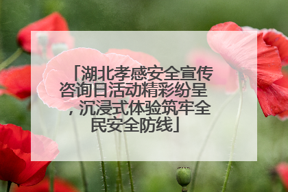 湖北孝感安全宣传咨询日活动精彩纷呈，沉浸式体验筑牢全民安全防线
