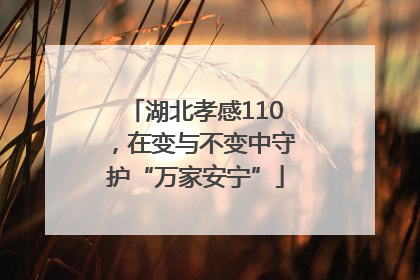 湖北孝感110，在变与不变中守护“万家安宁”