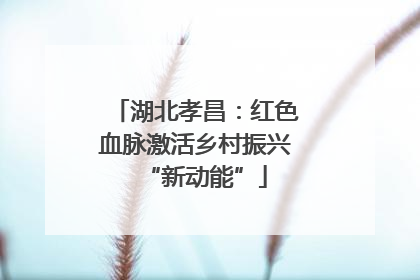 湖北孝昌：红色血脉激活乡村振兴“新动能”