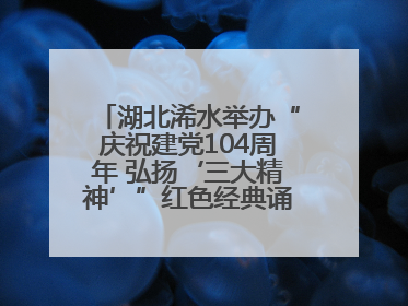 湖北浠水举办“庆祝建党104周年 弘扬‘三大精神’”红色经典诵读活动
