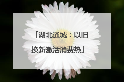 湖北通城：以旧换新激活消费热