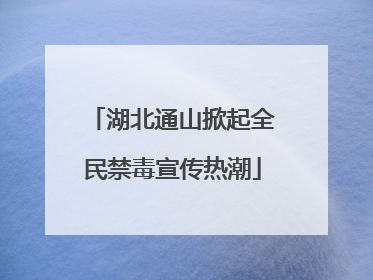 湖北通山掀起全民禁毒宣传热潮