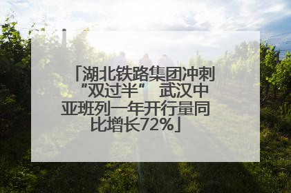 湖北铁路集团冲刺“双过半” 武汉中亚班列一年开行量同比增长72%