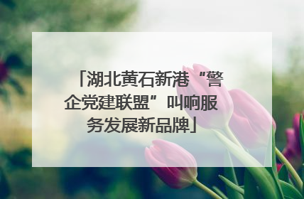 湖北黄石新港“警企党建联盟”叫响服务发展新品牌