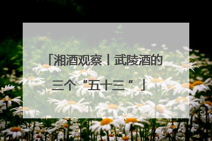 湘酒观察丨武陵酒的三个“五十三 ”