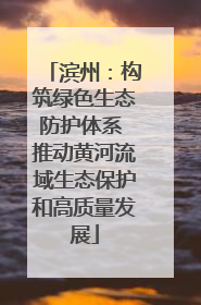 滨州：构筑绿色生态防护体系 推动黄河流域生态保护和高质量发展