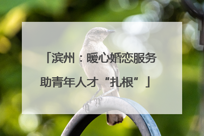滨州：暖心婚恋服务助青年人才“扎根”