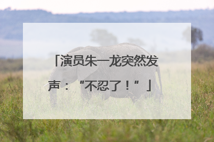 演员朱一龙突然发声：“不忍了！”