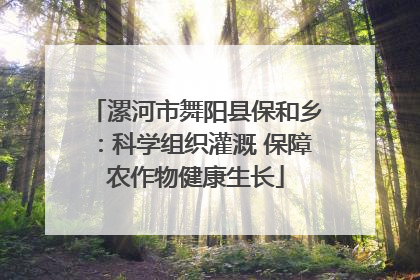 漯河市舞阳县保和乡：科学组织灌溉 保障农作物健康生长