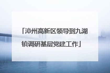 漳州高新区领导到九湖镇调研基层党建工作