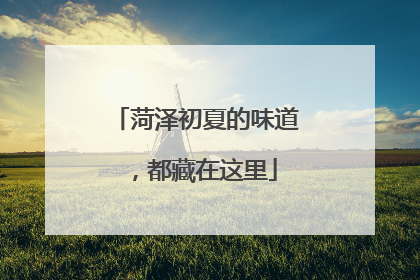 菏泽初夏的味道，都藏在这里