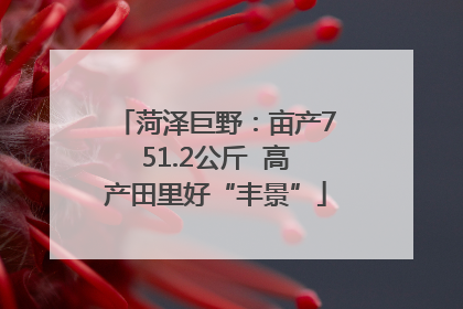 菏泽巨野：亩产751.2公斤  高产田里好“丰景”