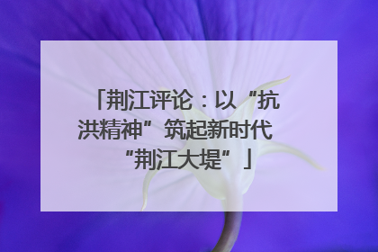 荆江评论：以“抗洪精神”筑起新时代“荆江大堤”
