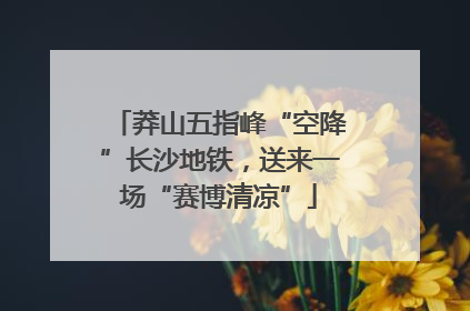 莽山五指峰“空降”长沙地铁，送来一场“赛博清凉”