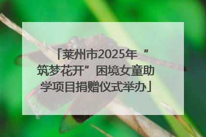 莱州市2025年“筑梦花开”困境女童助学项目捐赠仪式举办