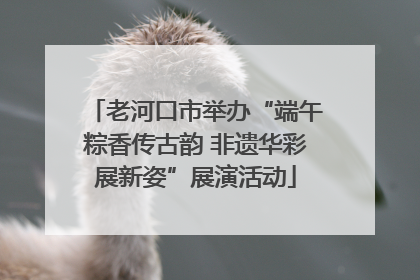 老河口市举办“端午粽香传古韵 非遗华彩展新姿”展演活动