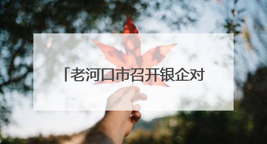 老河口市召开银企对接座谈会 信用评价助力破解融资难题