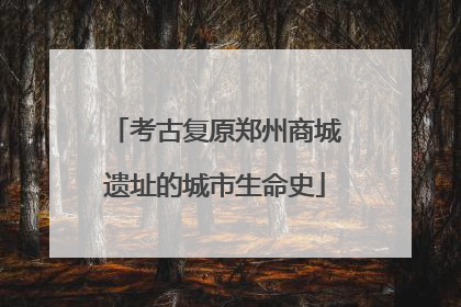 考古复原郑州商城遗址的城市生命史