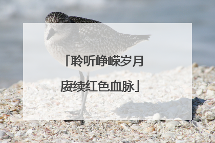 聆听峥嵘岁月 赓续红色血脉