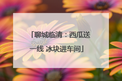 聊城临清：西瓜送一线 冰块进车间