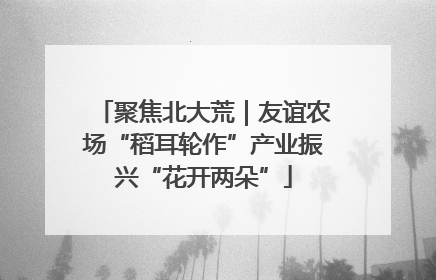 聚焦北大荒｜友谊农场“稻耳轮作”产业振兴“花开两朵”