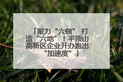 聚力“六做” 打造“六地”！平顶山高新区企业开办跑出“加速度”